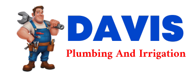 Trusted plumber in CARSONVILLE